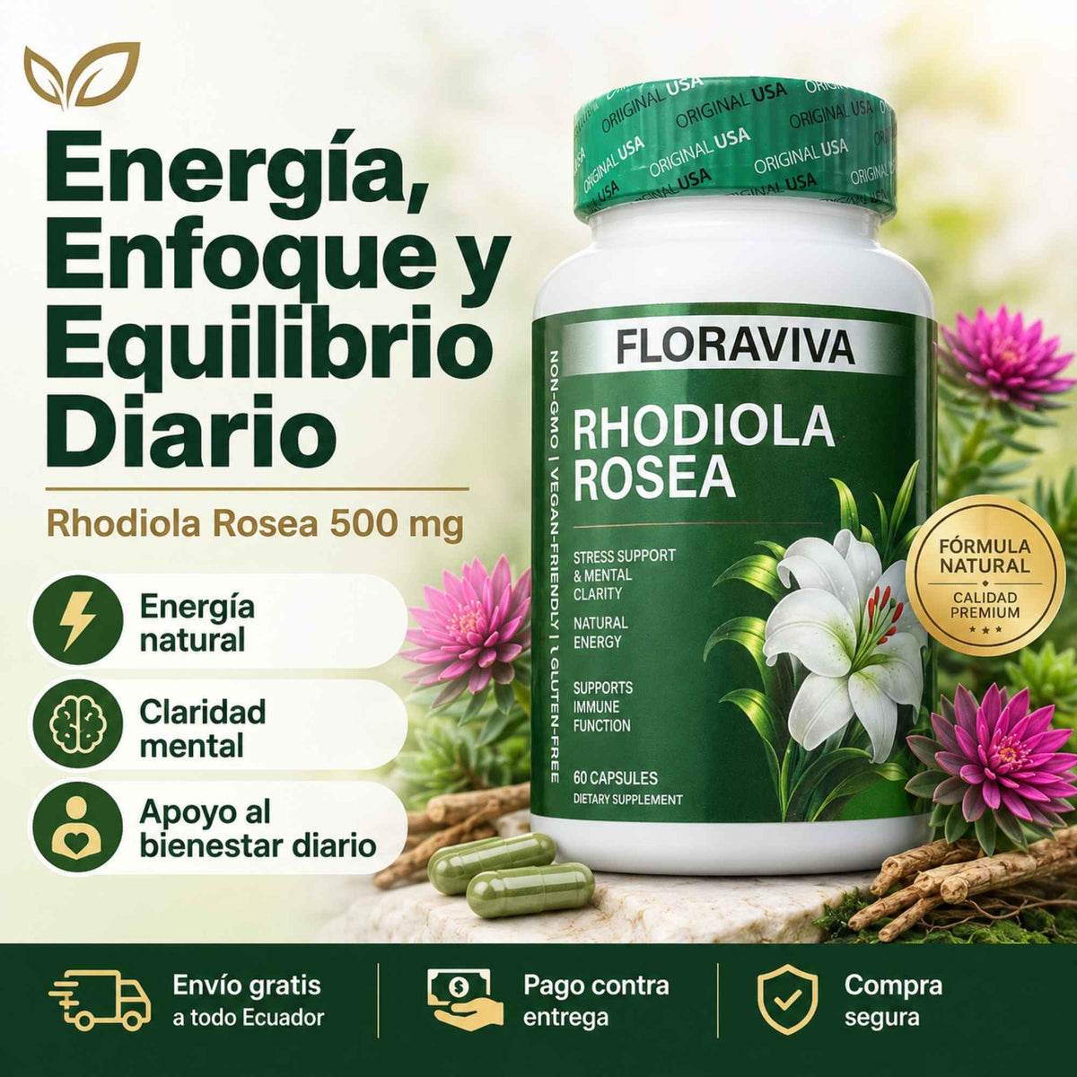 Floraviva Rhodiola Rosea 500 mg | Energía, Enfoque y Equilibrio Diario